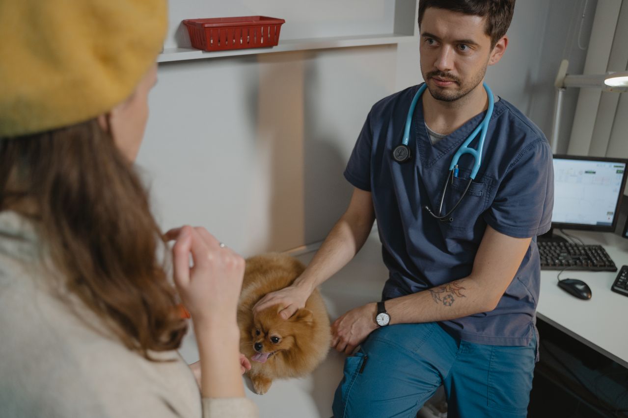 V&eacute;t&eacute;rinaire comportementaliste en consultation avec un chien anxieux